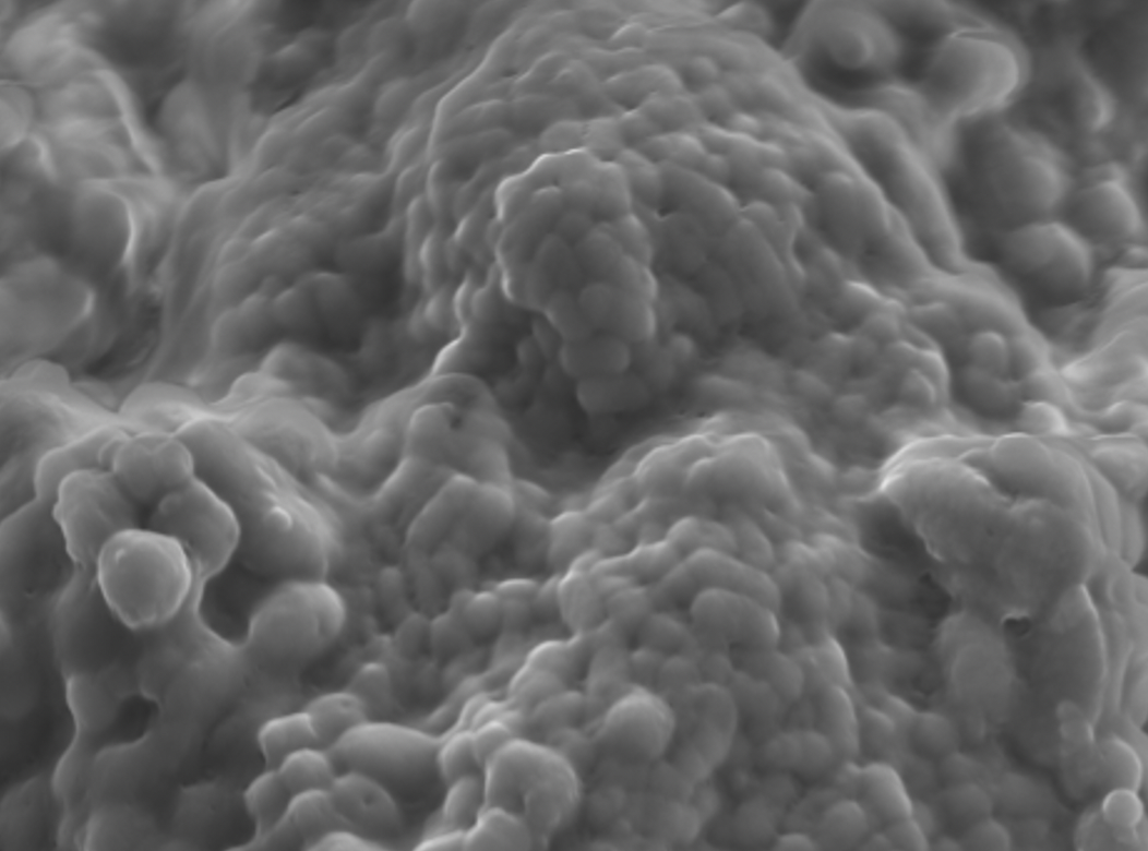 Biofilms Within 3D Environments