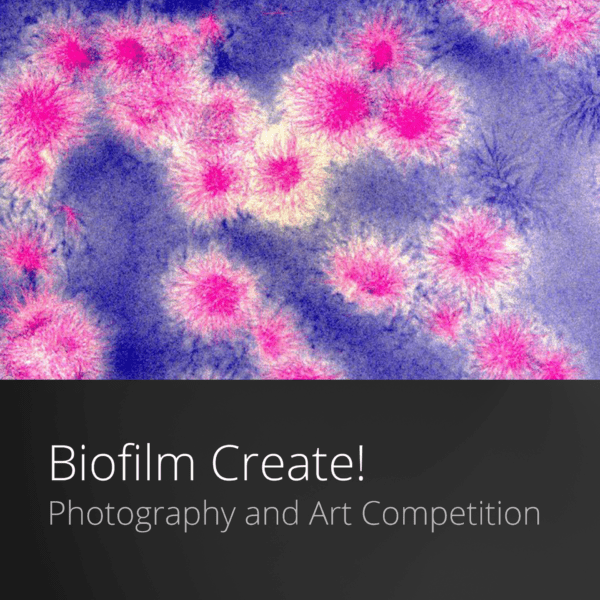 Biofilm Create! Art and Photography Competition