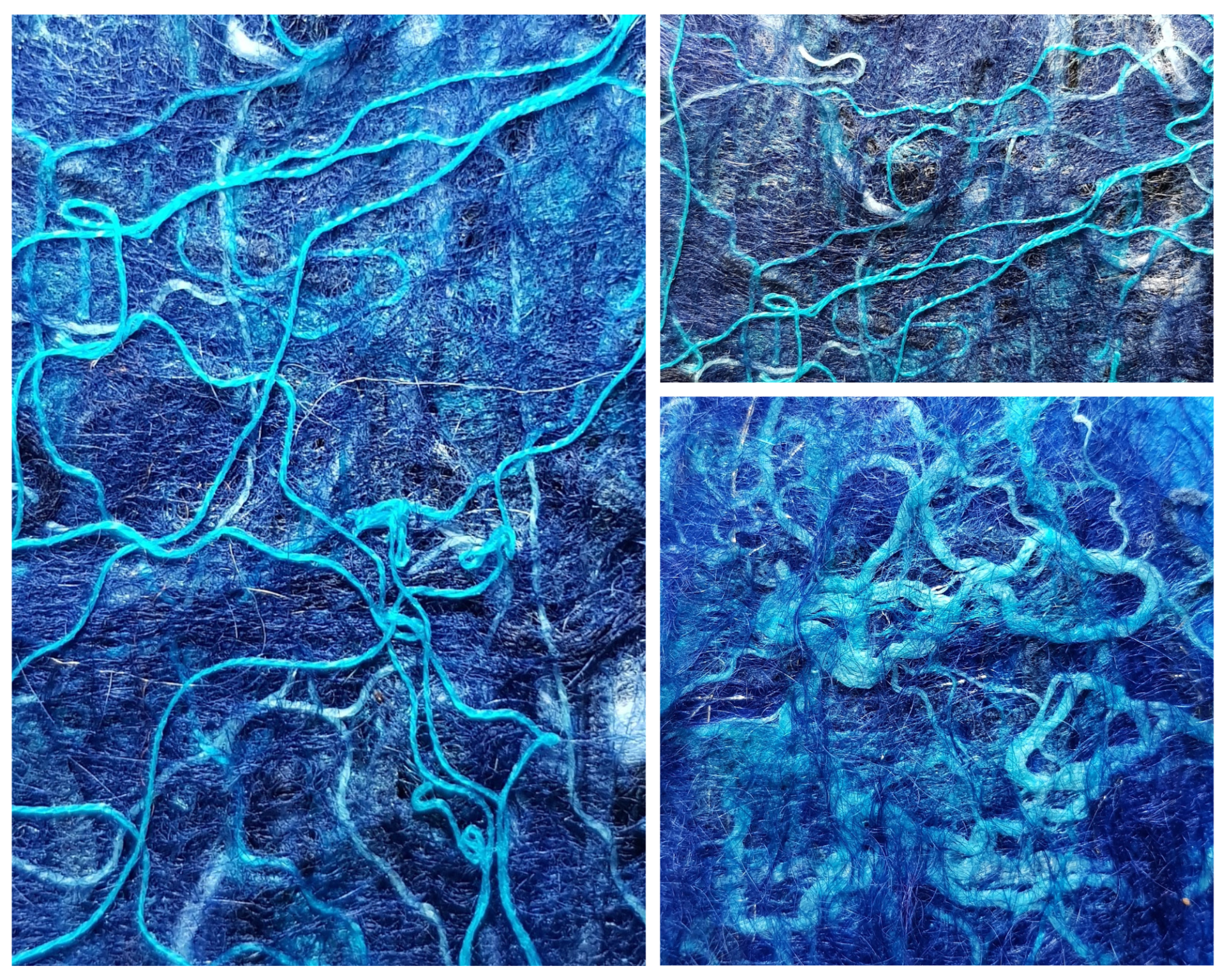 Biofilm Photography