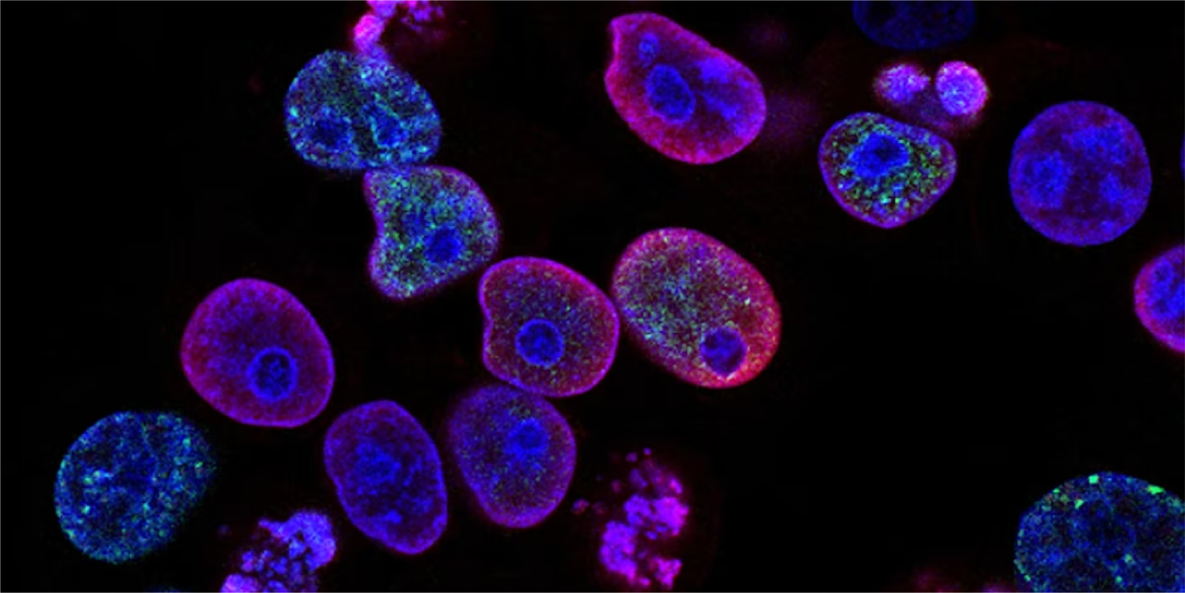 BBSRC Sparking Innovation Conference, 2 March 2023